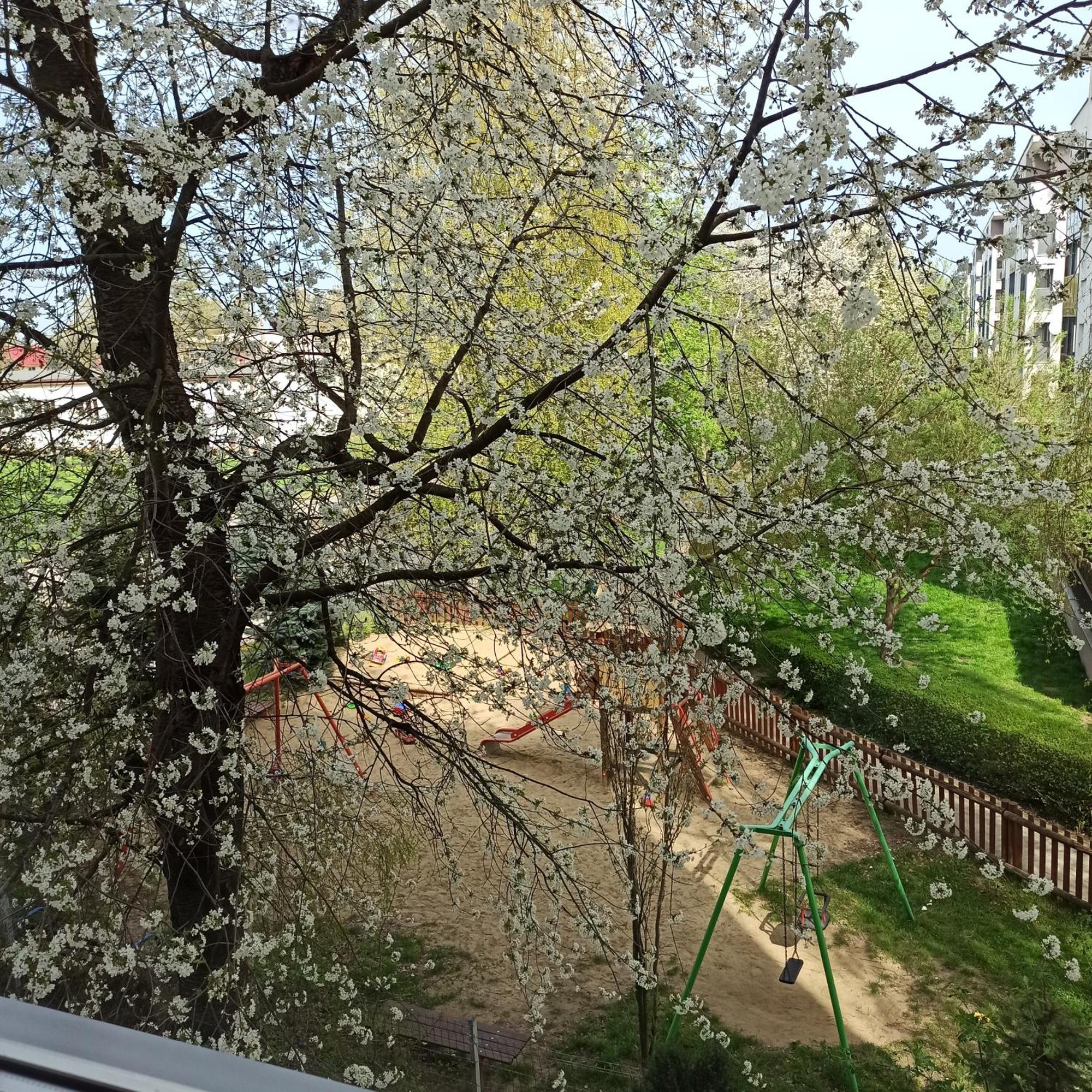 Apartament Dunikowskiego 57M2 Lublin Buitenkant foto